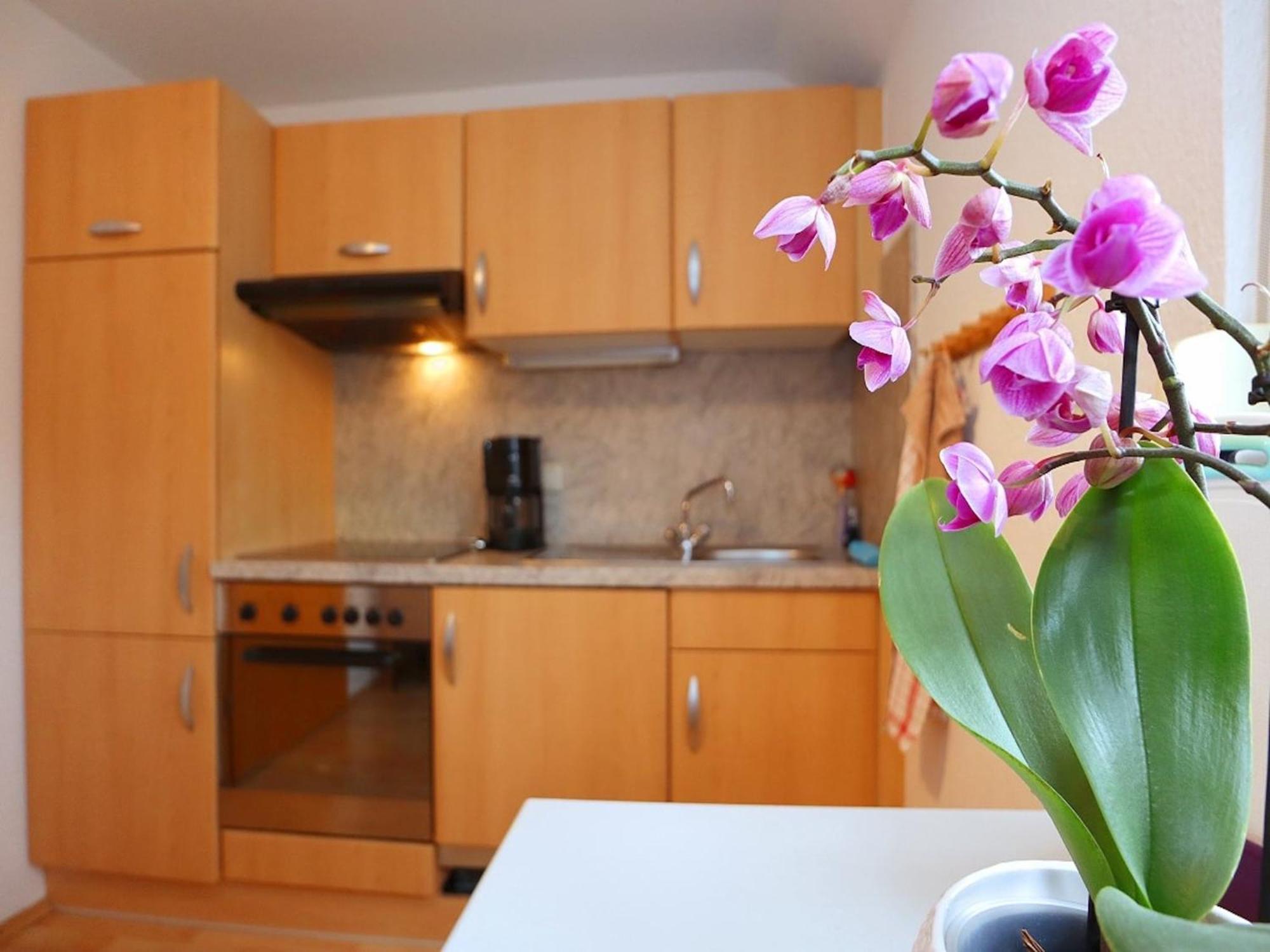 Cozy Apartment In Schwenningen With Garden Villingen-Schwenningen Exteriér fotografie